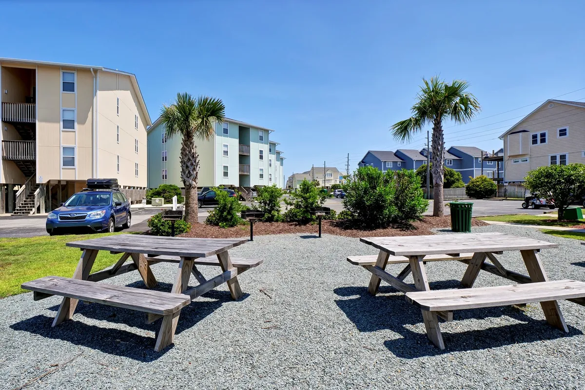 An exterior shot featuring picnic tables shaded by palm trees along a gravel path, creating a casual setting for outdoor gatherings. The mood is relaxed, highlighting a spot for families to pause, snack, or enjoy a spontaneous picnic under the sun.